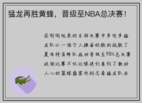猛龙再胜黄蜂，晋级至NBA总决赛！